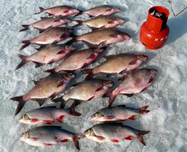 Прикрепленное изображение