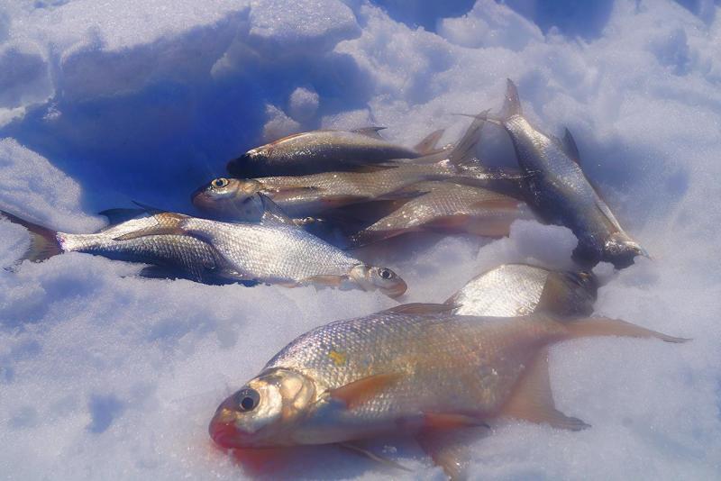 Прикрепленное изображение