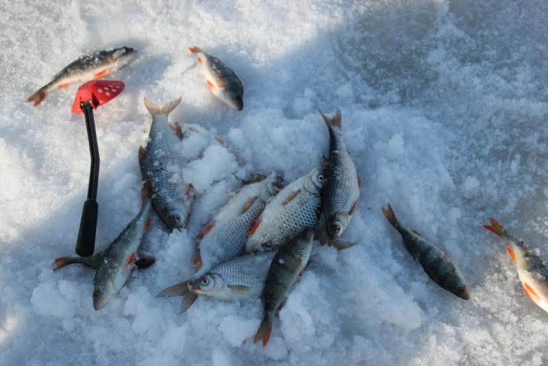 Прикрепленное изображение