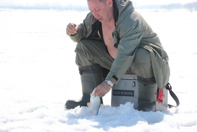 Прикрепленное изображение