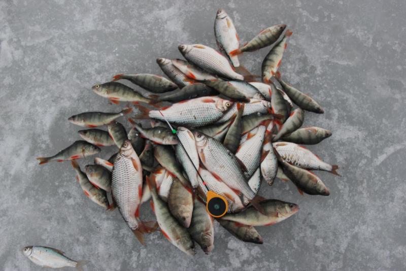 Прикрепленное изображение