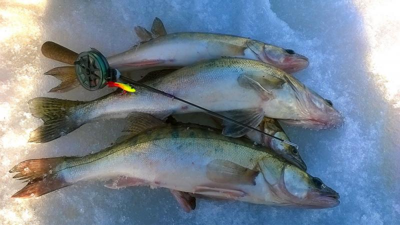 Прикрепленное изображение