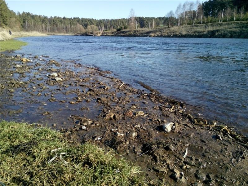 Прикрепленное изображение