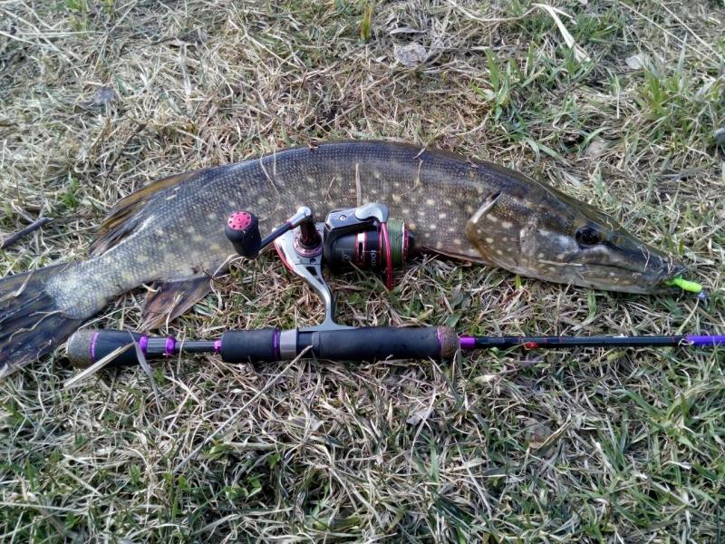 Прикрепленное изображение