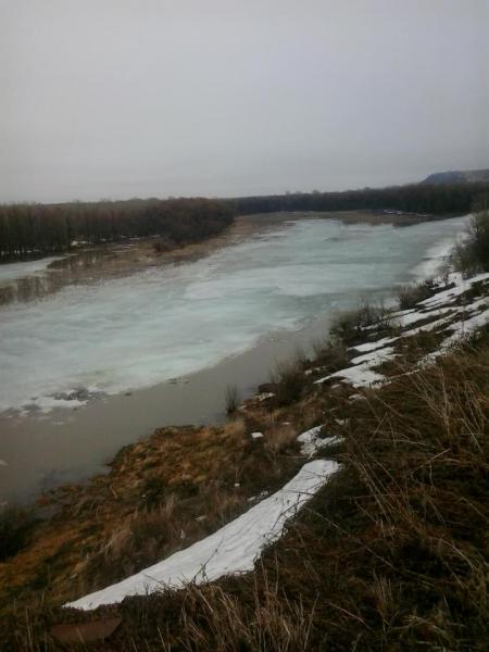 2015-04-16 07.02.18.jpg