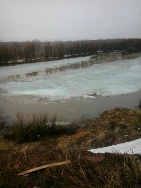 2015-04-16 07.02.16.jpg