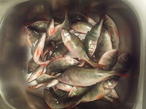 20150418_204823.jpg