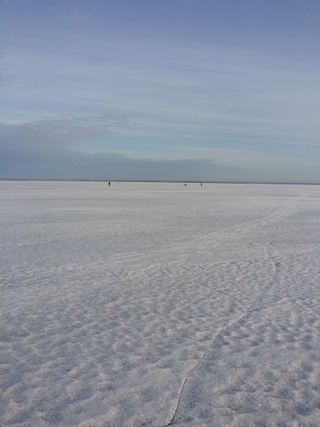 20150418_072551.jpg