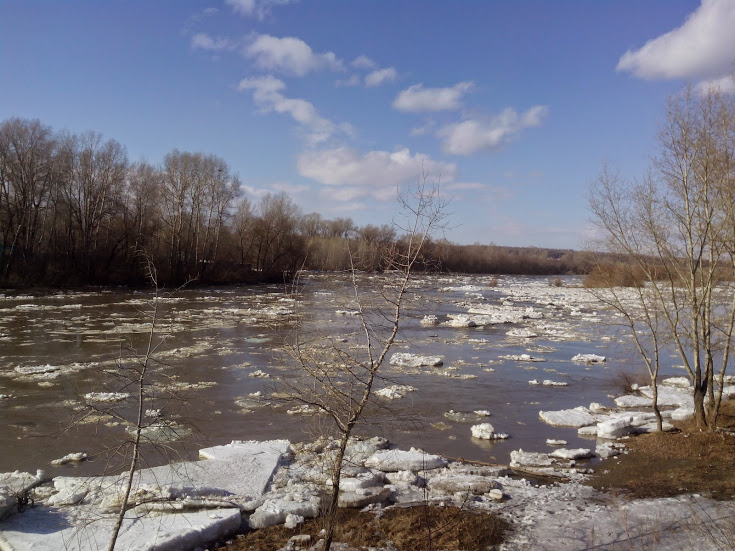 IMG_20150414_161111.jpg