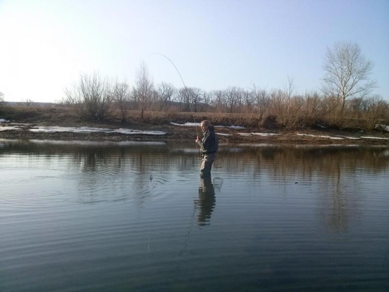 лосось 001.jpg