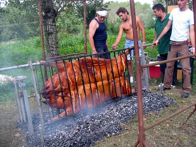 свин.jpg