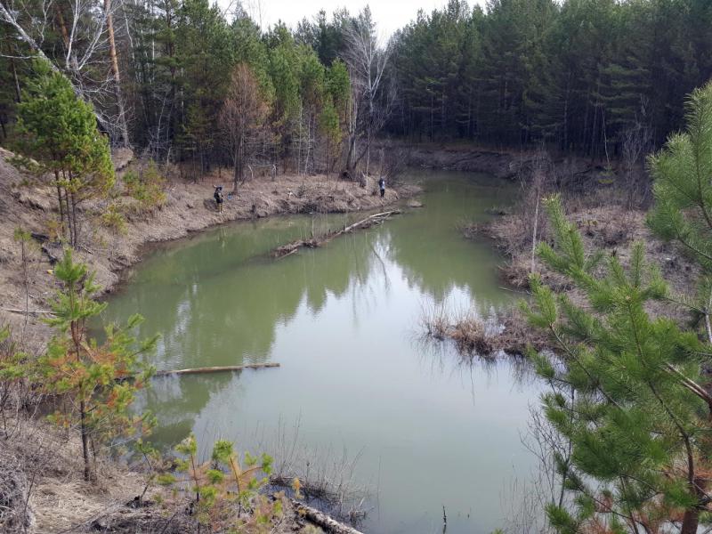 Прикрепленное изображение