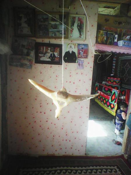 Прикрепленное изображение