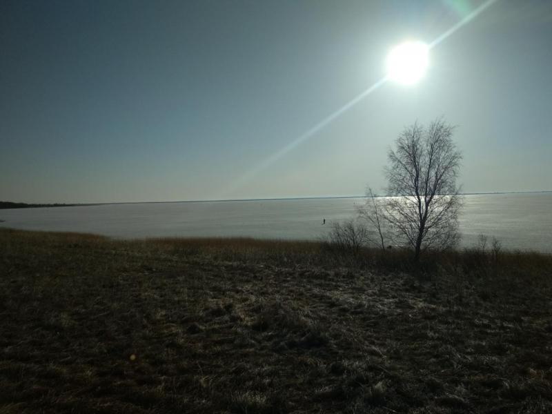 Прикрепленное изображение