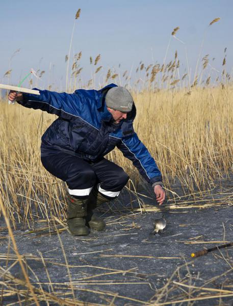 Прикрепленное изображение