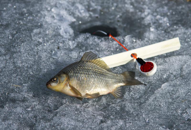 Прикрепленное изображение