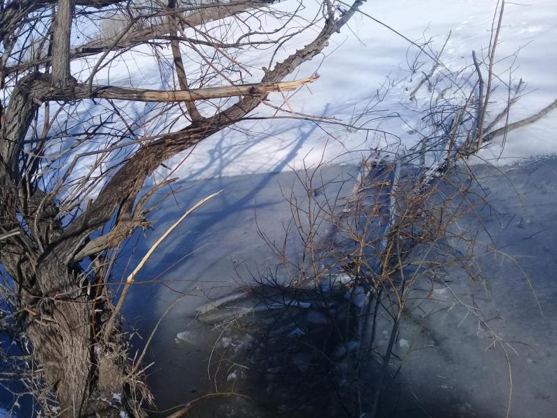 20180404_104127.jpg