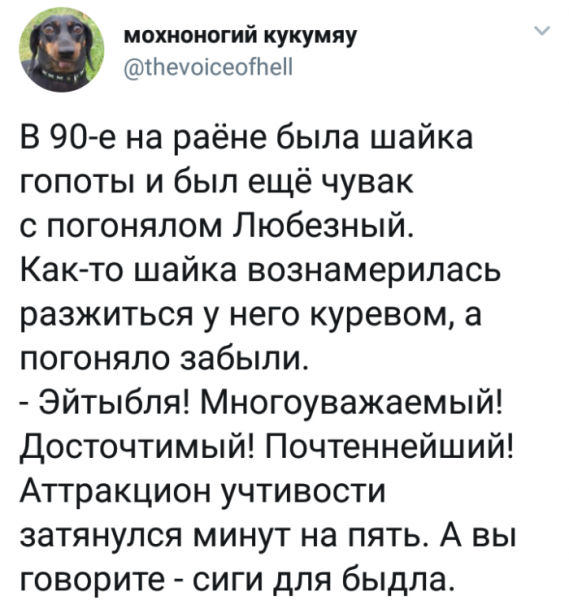 сиги.png