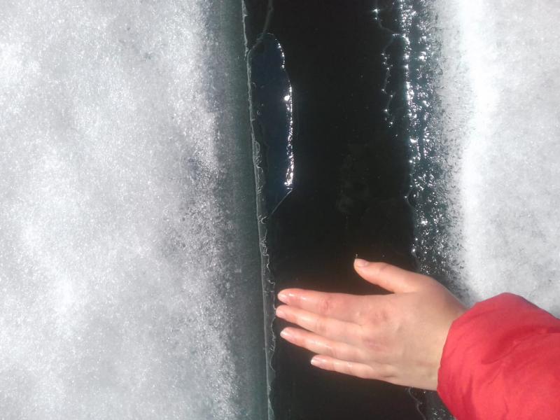 Прикрепленное изображение