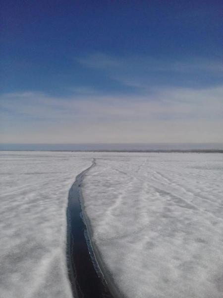 Прикрепленное изображение