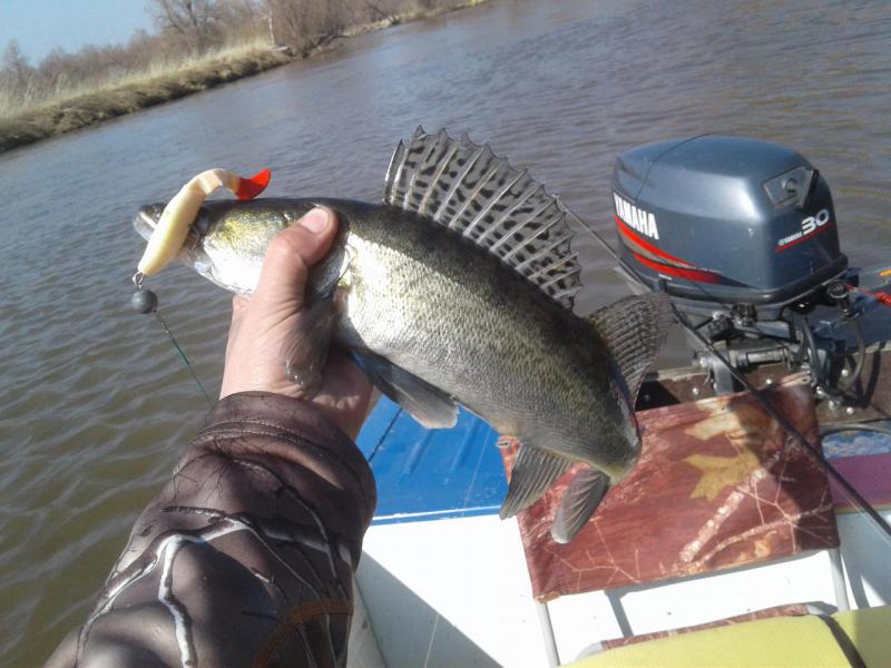 Прикрепленное изображение: 20190413_160414.jpg