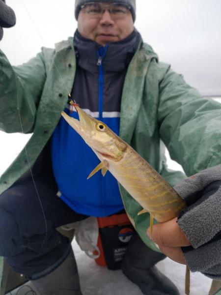 Прикрепленное изображение: P90406-102144.jpg