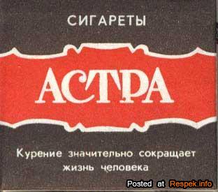 астра.jpg
