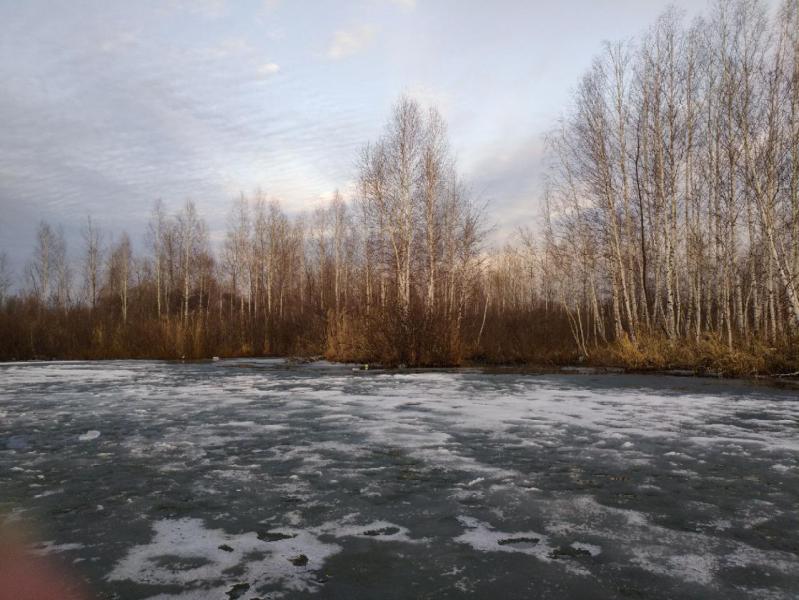 P90404-190839.jpg