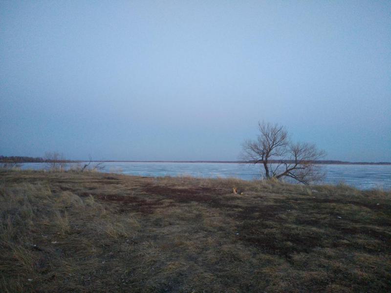 P90410-202924.jpg