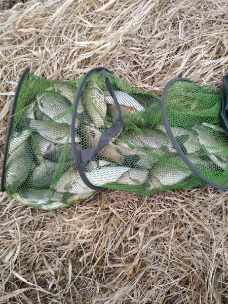 post-5272-0-25806200-1587819038_thumb.jp