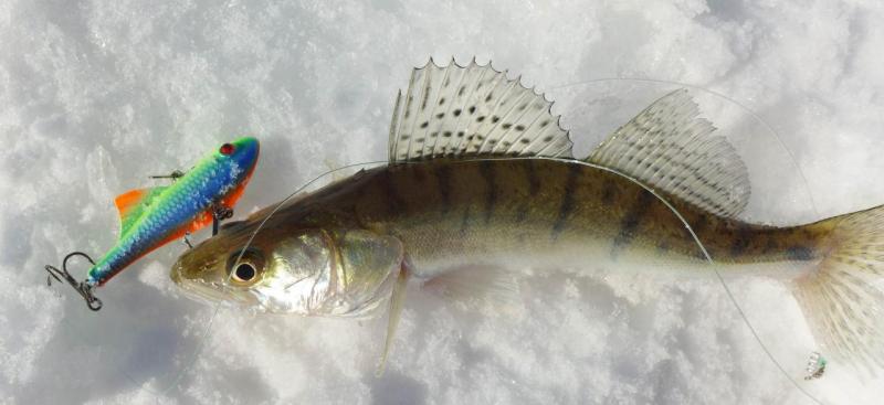 без имени-13.jpg