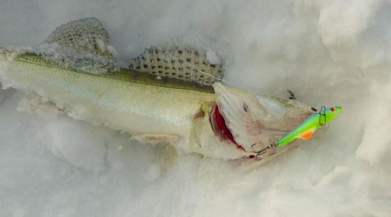 без имени-40.jpg