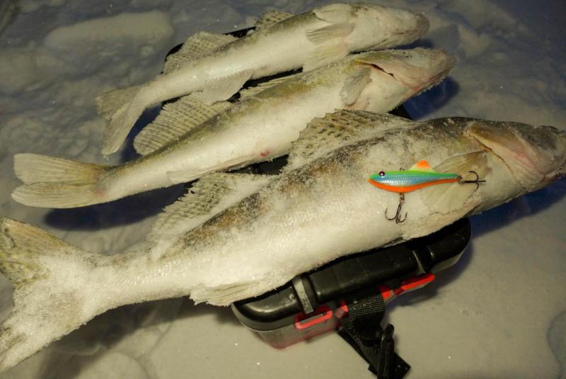 без имени-52.jpg