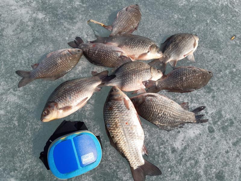 Прикрепленное изображение