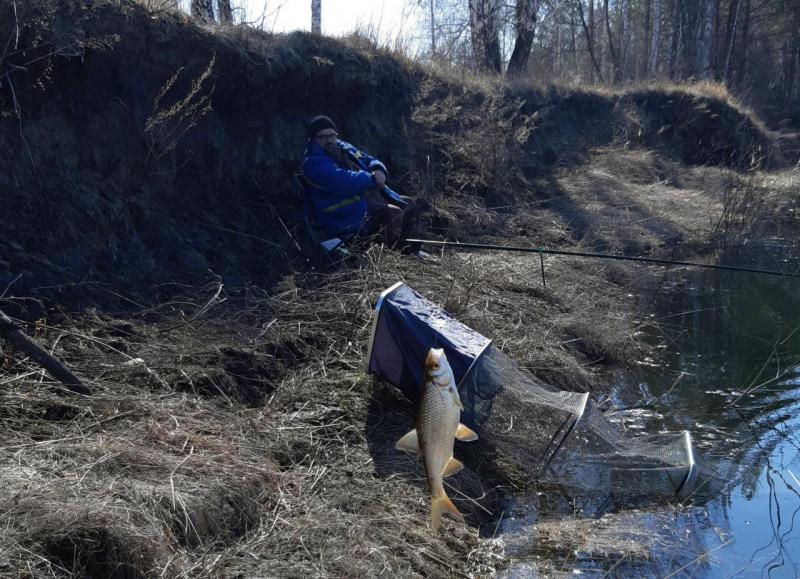 Прикрепленное изображение