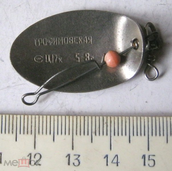 50686294.jpg