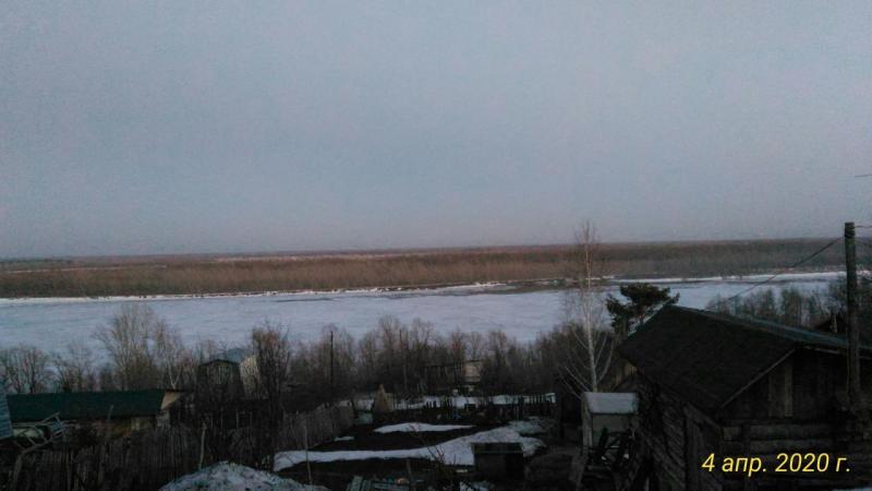 P_20200404_203114_p.jpg