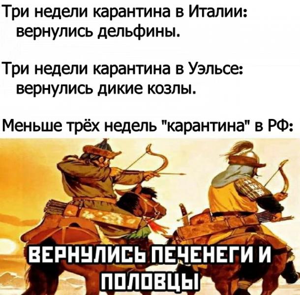 14190823.jpg