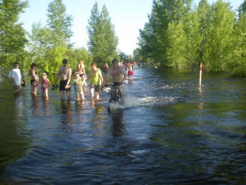 Дорога в Затон 19 июня 2010.jpg