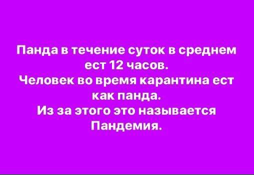 94120107_2660572647380887_276340265998876672_n.jpg