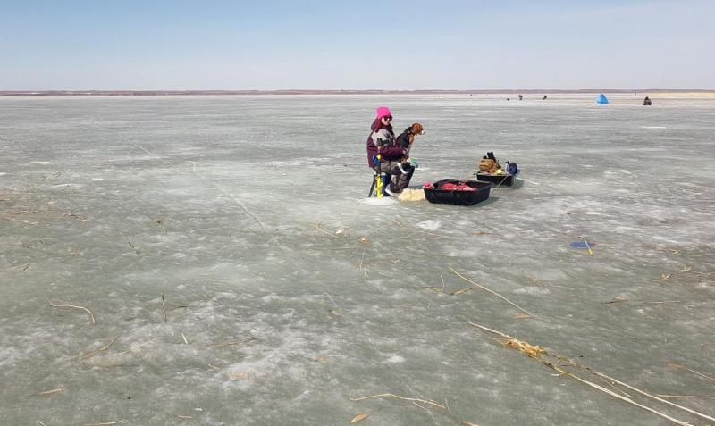 Прикрепленное изображение