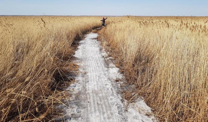 Прикрепленное изображение