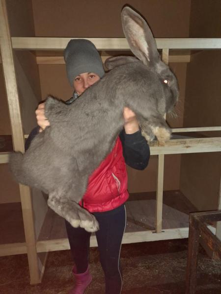 post-2252-0-70257900-1649655363_thumb.jp