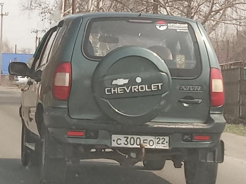 20220418_125414366.jpg