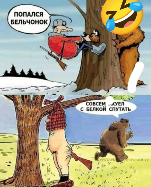 белка.jpg