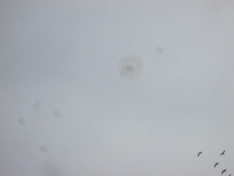 IMG_3693.JPG