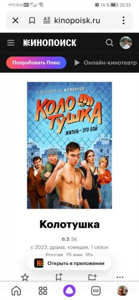 Screenshot_20240407_203358_ru.yandex.searchplugin.jpg