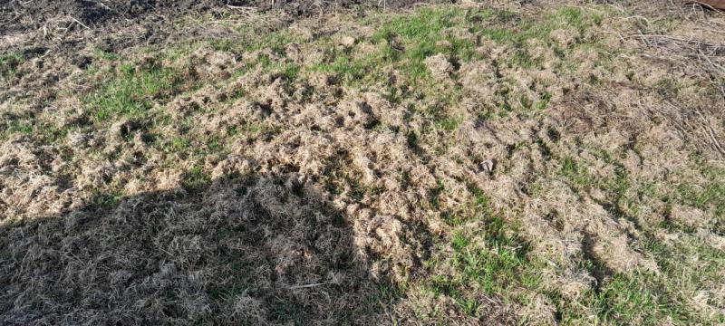 20250412_091902.jpg