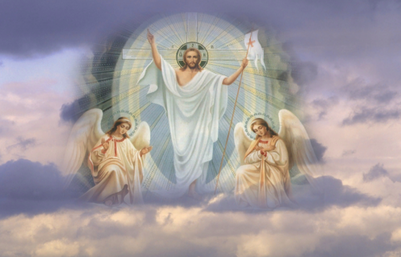 2025-04-20_06-59-02.png