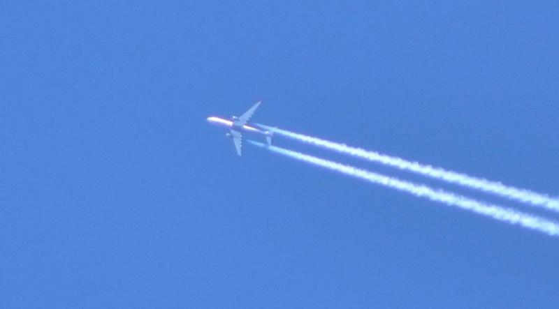 DSC_0017.JPG